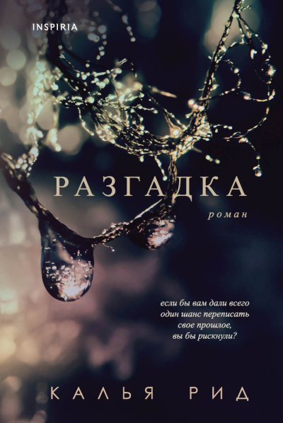 Слушайте бесплатные аудиокниги на русском языке | Audiobukva.ru Рид Калья – Разгадка