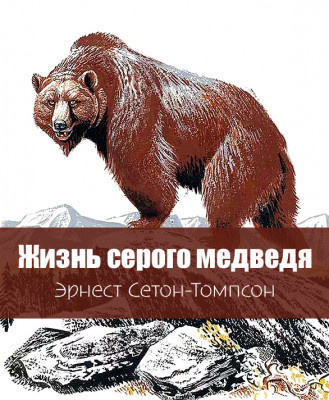 Слушайте бесплатные аудиокниги на русском языке | Audiobukva.ru Сетон-Томпсон Эрнест – Жизнь серого медведя