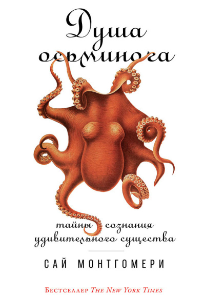 Слушайте бесплатные аудиокниги на русском языке | Audiobukva.ru Монтгомери Сай – Душа осьминога: Тайны сознания удивительного существа