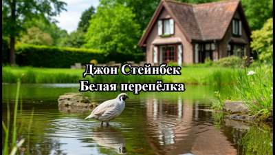Слушайте бесплатные аудиокниги на русском языке | Audiobukva.ru Стейнбек Джон – Белая перепёлка