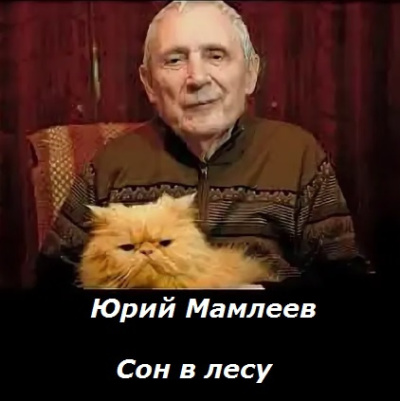 Слушайте бесплатные аудиокниги на русском языке | Audiobukva.ru Мамлеев Юрий – Сон в лесу