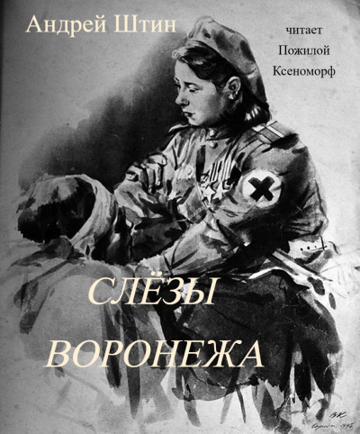 Слушайте бесплатные аудиокниги на русском языке | Audiobukva.ru Андрей Штин – Слёзы Воронежа