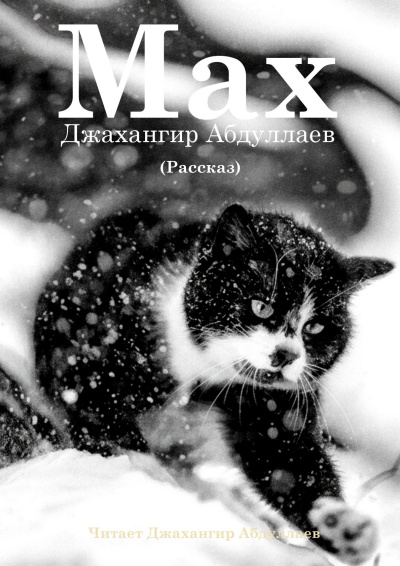 Слушайте бесплатные аудиокниги на русском языке | Audiobukva.ru Абдуллаев Джахангир – Макс