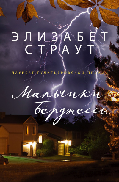 Слушайте бесплатные аудиокниги на русском языке | Audiobukva.ru Страут Элизабет – Мальчики Берджессы