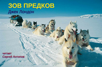 Слушайте бесплатные аудиокниги на русском языке | Audiobukva.ru Лондон Джек - Зов предков