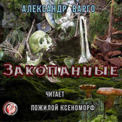 Слушайте бесплатные аудиокниги на русском языке | Audiobukva.ru Варго Александр - Закопанные