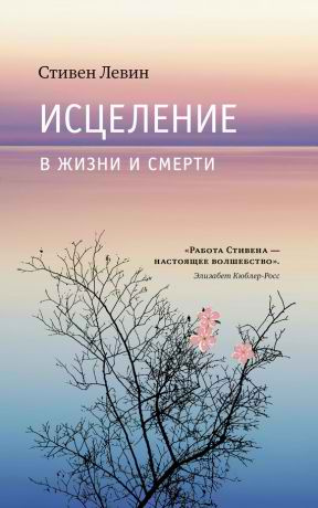 Слушайте бесплатные аудиокниги на русском языке | Audiobukva.ru Левин Стивен - Исцеление в жизни и смерти