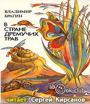 Слушайте бесплатные аудиокниги на русском языке | Audiobukva.ru Брагин Владимир - В стране дремучих трав