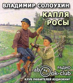 Слушайте бесплатные аудиокниги на русском языке | Audiobukva.ru Солоухин Владимир - Капля росы