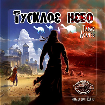 Слушайте бесплатные аудиокниги на русском языке | Audiobukva.ru Тарас Асачёв - Тусклое небо