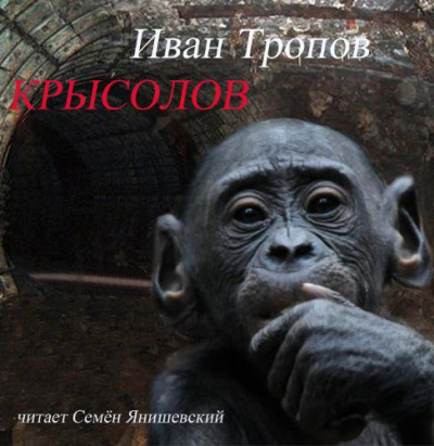 Слушайте бесплатные аудиокниги на русском языке | Audiobukva.ru Тропов Иван - Крысолов