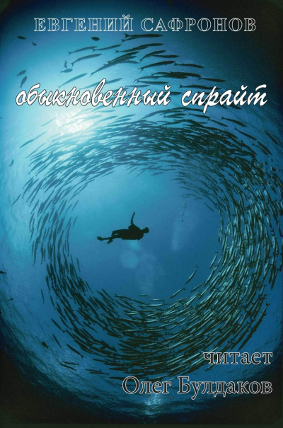 Слушайте бесплатные аудиокниги на русском языке | Audiobukva.ru Сафронов Евгений - Обыкновенный спрайт