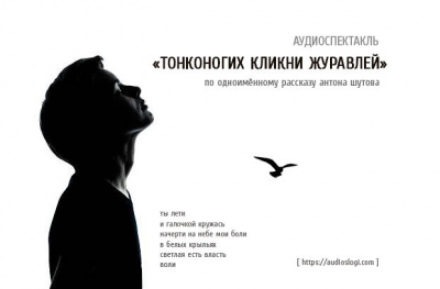 Слушайте бесплатные аудиокниги на русском языке | Audiobukva.ru Шутов Антон - Тонконогих кликни журавлей