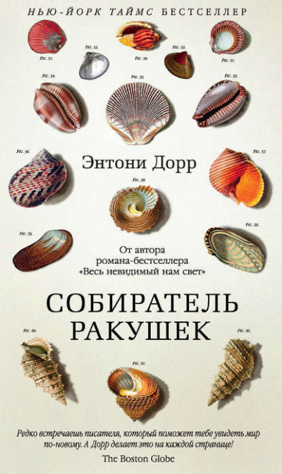 Слушайте бесплатные аудиокниги на русском языке | Audiobukva.ru Дорр Энтони - Собиратель ракушек