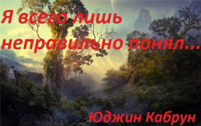 Слушайте бесплатные аудиокниги на русском языке | Audiobukva.ru Кабрун Юджин - Я всего лишь неправильно понял...