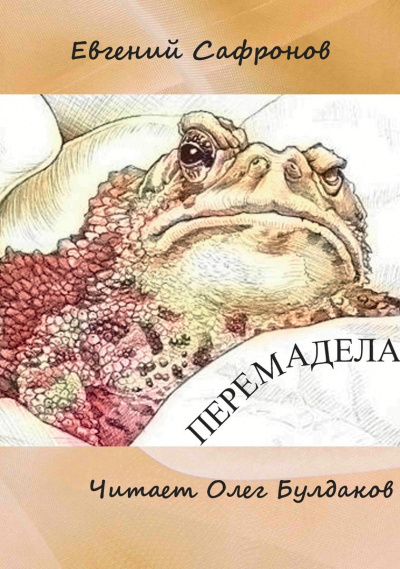 Слушайте бесплатные аудиокниги на русском языке | Audiobukva.ru Сафронов Евгений - Перемадела