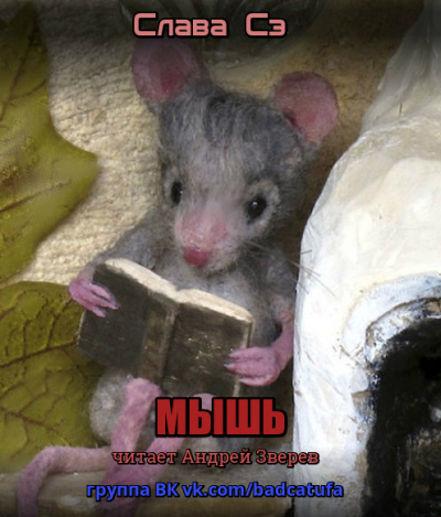 Слушайте бесплатные аудиокниги на русском языке | Audiobukva.ru Сэ Слава - Мышь