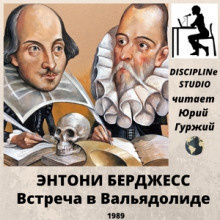 Слушайте бесплатные аудиокниги на русском языке | Audiobukva.ru Бёрджесс Энтони - Встреча в Вальядолиде