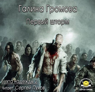 Слушайте бесплатные аудиокниги на русском языке | Audiobukva.ru Громова Галина - Первый шторм