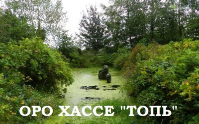 Слушайте бесплатные аудиокниги на русском языке | Audiobukva.ru Оро Хассе - Топь