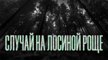 Слушайте бесплатные аудиокниги на русском языке | Audiobukva.ru Новгородов Олег - Случай на Лосиной Роще