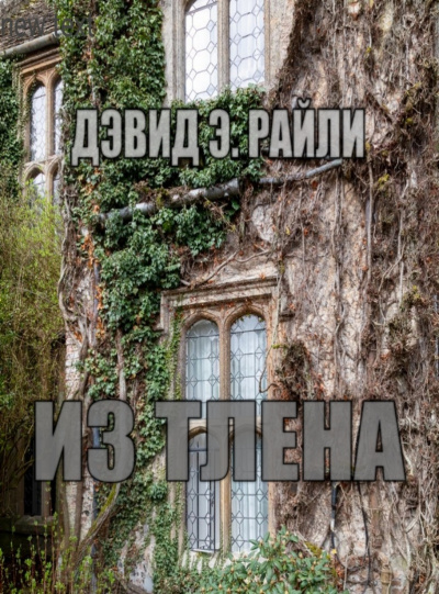 Слушайте бесплатные аудиокниги на русском языке | Audiobukva.ru Райли Дэвид - Из тлена