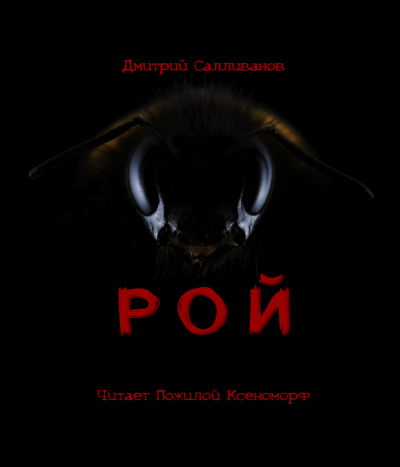 Слушайте бесплатные аудиокниги на русском языке | Audiobukva.ru Салливанов Дмитрий - Рой