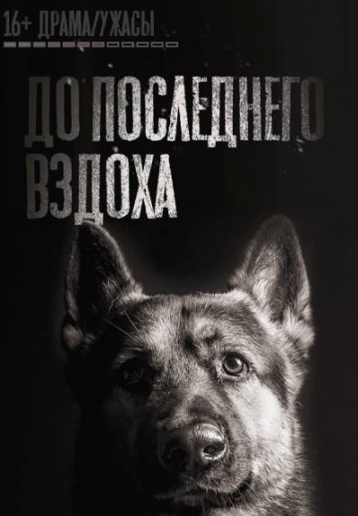 Слушайте бесплатные аудиокниги на русском языке | Audiobukva.ru Кривенцов Феликс - До последнего вздоха