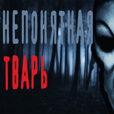 Слушайте бесплатные аудиокниги на русском языке | Audiobukva.ru Васалаев Роман - Непонятная тварь