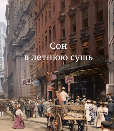 Слушайте бесплатные аудиокниги на русском языке | Audiobukva.ru О. Генри - Сон в летнюю сушь