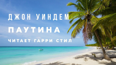 Слушайте бесплатные аудиокниги на русском языке | Audiobukva.ru Уиндэм Джон - Паутина