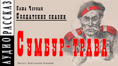 Слушайте бесплатные аудиокниги на русском языке | Audiobukva.ru Черный Саша - Сумбур-трава