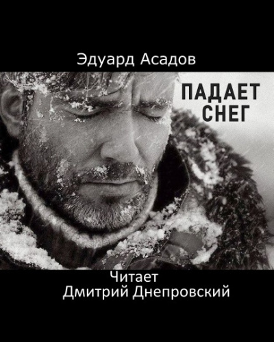 Слушайте бесплатные аудиокниги на русском языке | Audiobukva.ru Асадов Эдуард - Падает снег