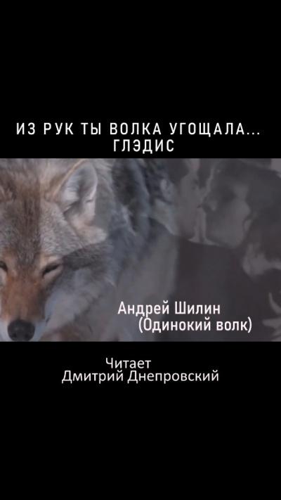 Слушайте бесплатные аудиокниги на русском языке | Audiobukva.ru Шилин Андрей (Одинокий волк) - Из рук ты Волка угощала... Глэдис