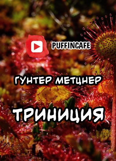 Слушайте бесплатные аудиокниги на русском языке | Audiobukva.ru Метцнер Гунтер - Trinicia