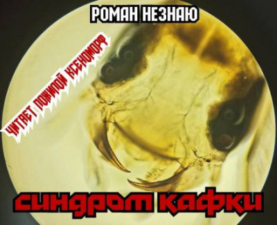 Слушайте бесплатные аудиокниги на русском языке | Audiobukva.ru Незнаю Роман - Синдром Кафки