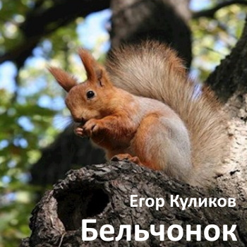 Слушайте бесплатные аудиокниги на русском языке | Audiobukva.ru Куликов Егор - Бельчонок