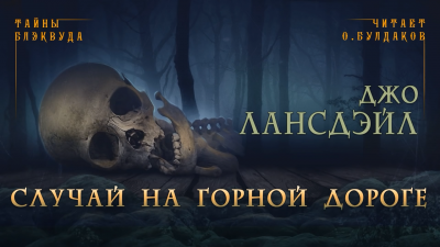 Слушайте бесплатные аудиокниги на русском языке | Audiobukva.ru Лансдейл Джо - Случай на горной дороге