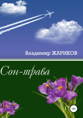 Слушайте бесплатные аудиокниги на русском языке | Audiobukva.ru Жариков Владимир - Сон-трава