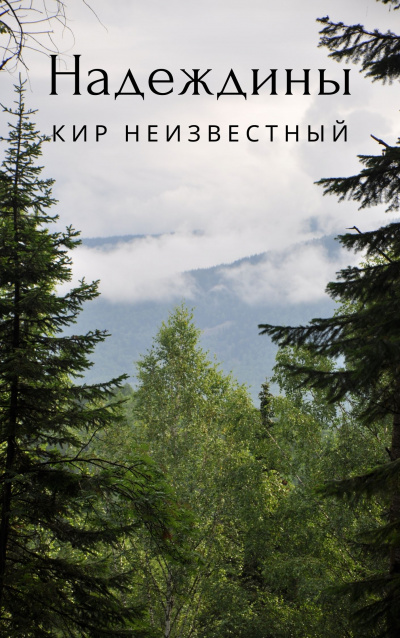 Слушайте бесплатные аудиокниги на русском языке | Audiobukva.ru Кир Неизвестный - Надеждины