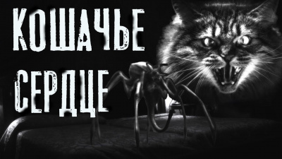 Слушайте бесплатные аудиокниги на русском языке | Audiobukva.ru Темир Руслан - Кошачье сердце