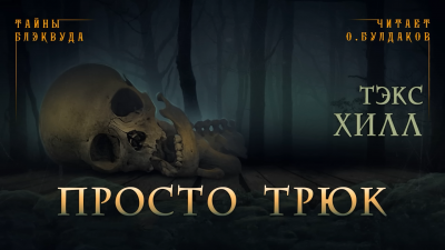 Слушайте бесплатные аудиокниги на русском языке | Audiobukva.ru Хилл Тэкс - Просто трюк