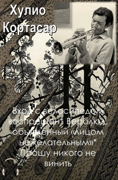 Слушайте бесплатные аудиокниги на русском языке | Audiobukva.ru Кортасар Хулио - Вход с велосипедом воспрещен