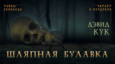 Слушайте бесплатные аудиокниги на русском языке | Audiobukva.ru Кук Дэвид - Шляпная булавка