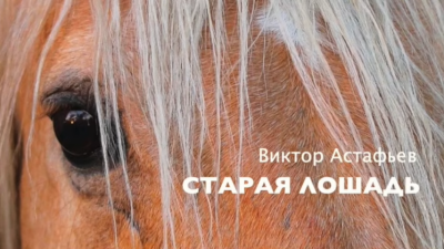 Слушайте бесплатные аудиокниги на русском языке | Audiobukva.ru Астафьев Виктор - Старая лошадь