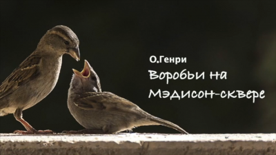 Слушайте бесплатные аудиокниги на русском языке | Audiobukva.ru О. Генри - Воробьи на Мэдисон-сквере