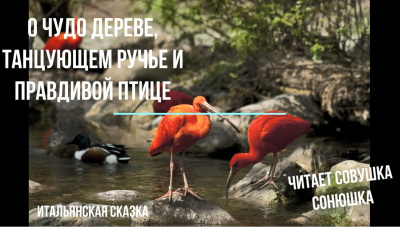 Слушайте бесплатные аудиокниги на русском языке | Audiobukva.ru О чудо дереве, танцующем ручье и правдивой птице