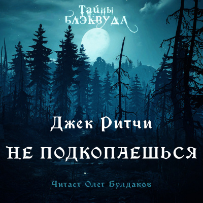 Слушайте бесплатные аудиокниги на русском языке | Audiobukva.ru Ритчи Джек - Не подкопаешься