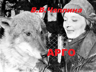 Слушайте бесплатные аудиокниги на русском языке | Audiobukva.ru Чаплина Вера - Арго