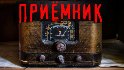 Слушайте бесплатные аудиокниги на русском языке | Audiobukva.ru Лесная Елена - Приёмник